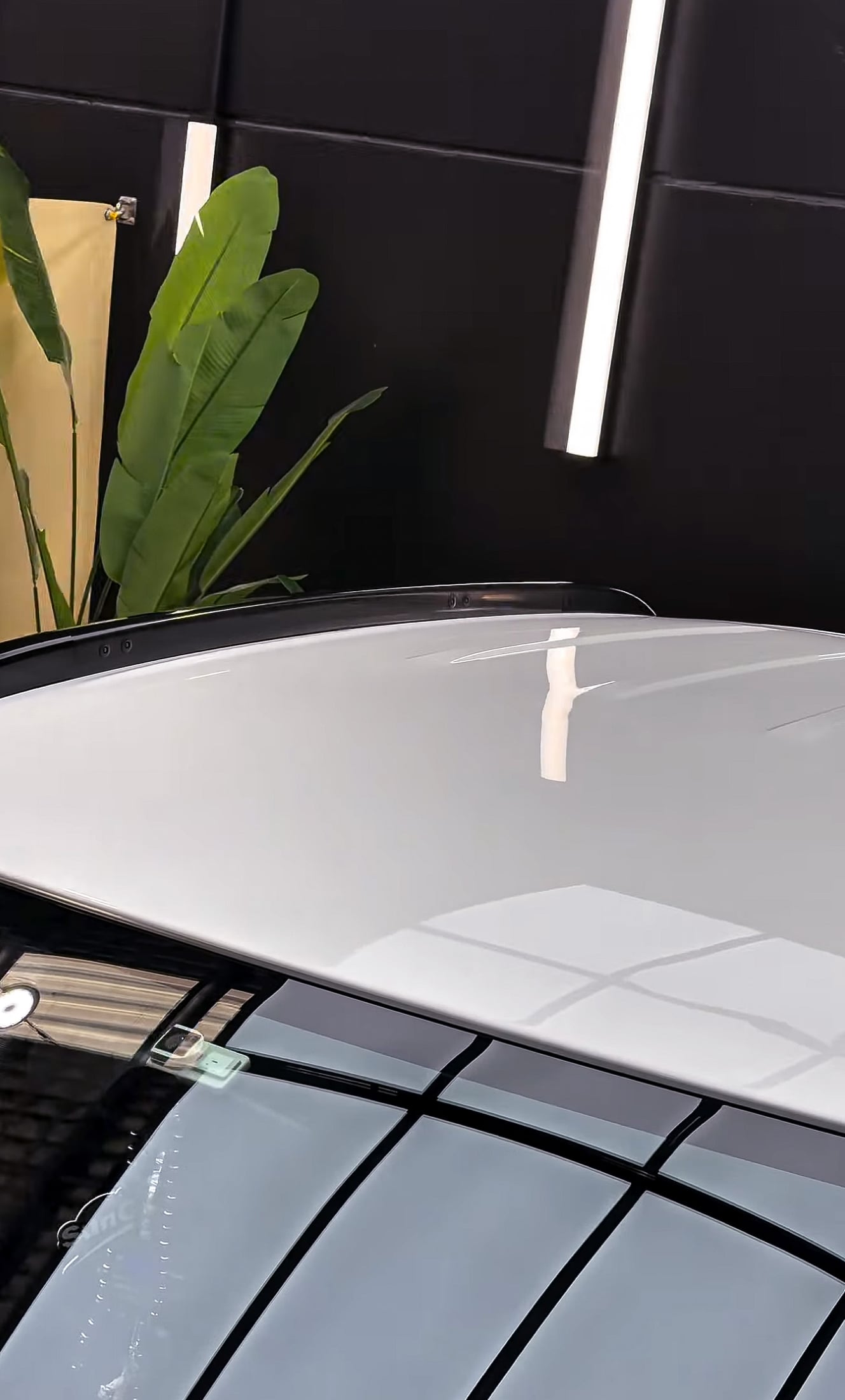 Paint correction result, swirl-free finish